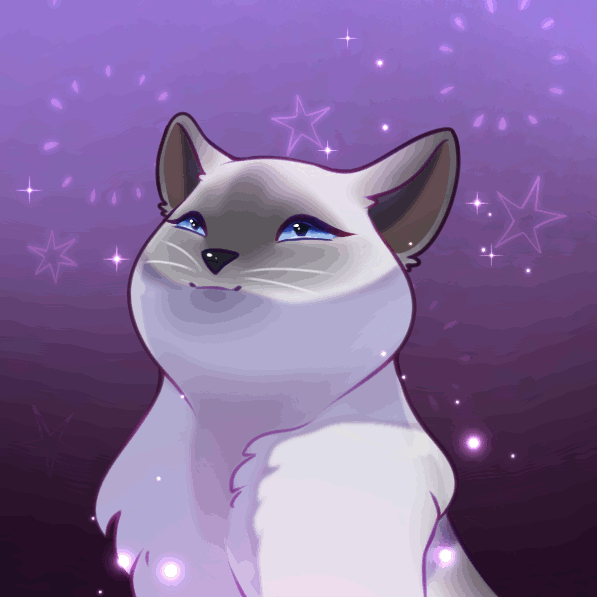 Okie Pop Cat